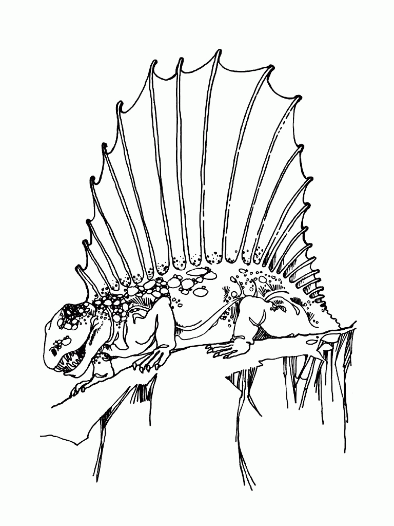 Dinozaury Kolorowanka - Dinozaur z Grzbietem Płetwowym do Druku kolorowanka do druku